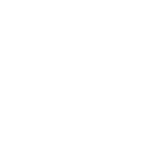 BFF logo — white